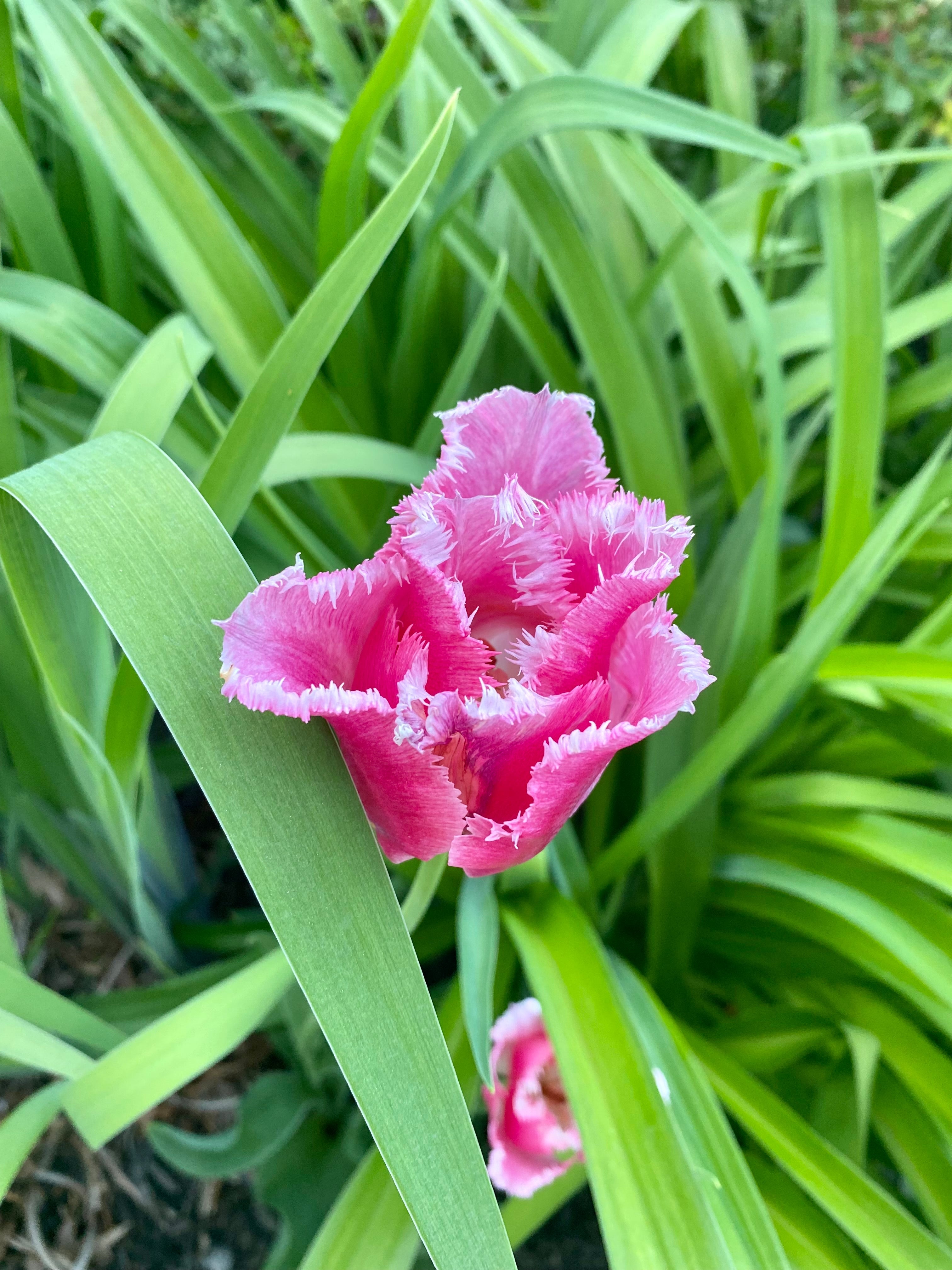 OUR PROMISE TO SUSTAINABILITY