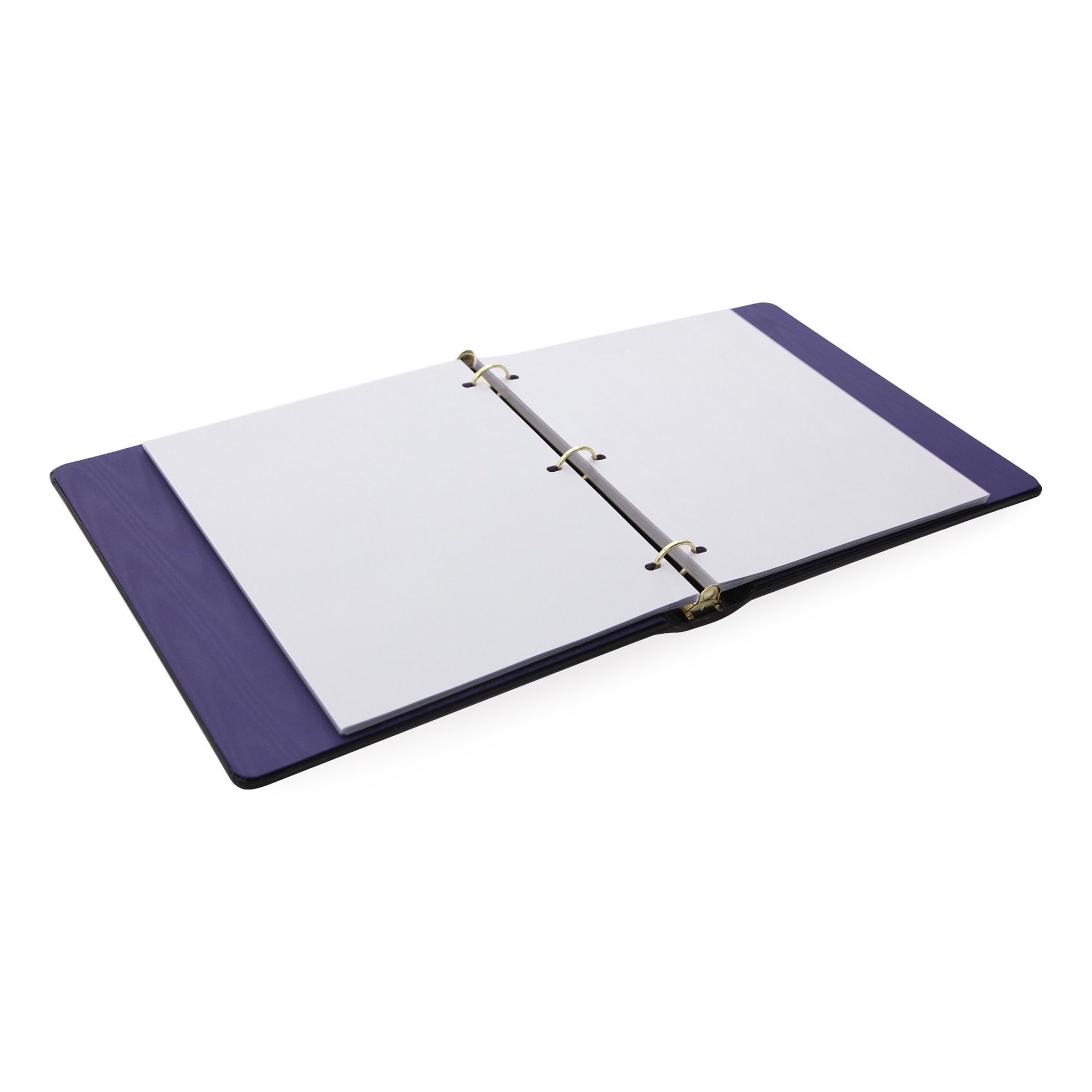RING BINDER PHOTO ALBUM